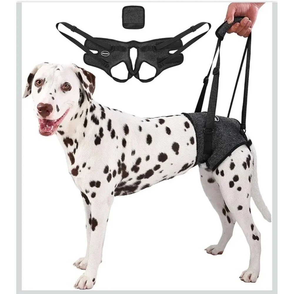AOOLMOL Dog Assistive Harness Rear Leg Lift Support Sling Dark Grey, Small NEW